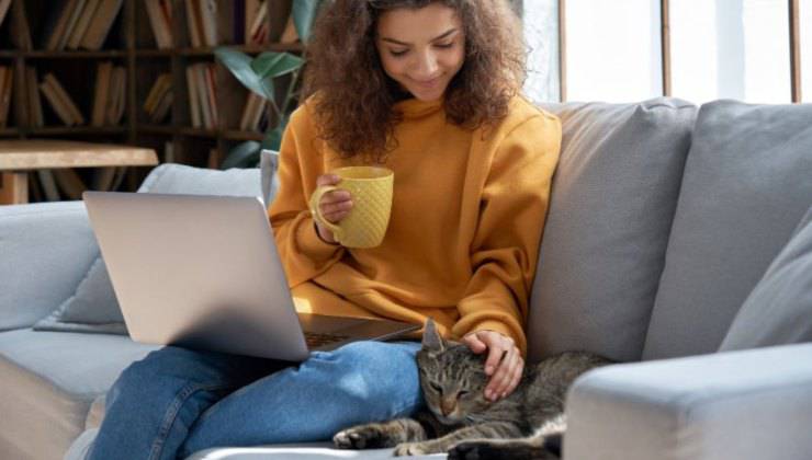 Donna sul divano con il gatto che fa la dichiarazione dei redditi inserendo anche le spese del Micio