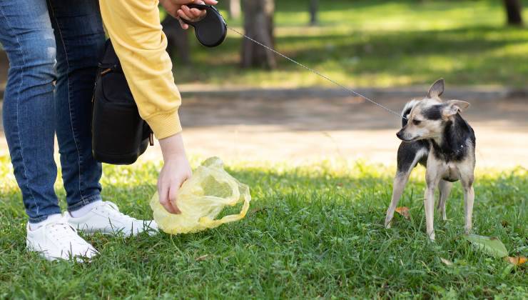 Donna con maglia gialla raccoglie bisogni del cane per il DNA