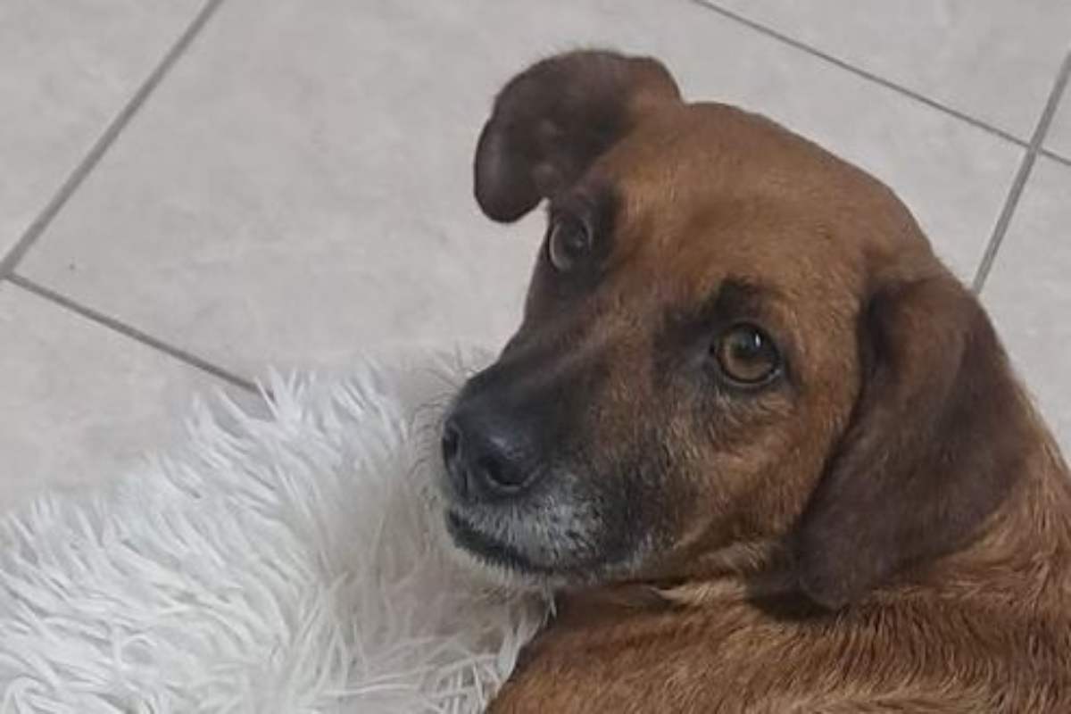 Una vita da incubo e poi la salvezza poco prima dell'oblio