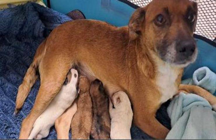 Una vita da incubo e poi la salvezza poco prima dell'oblio