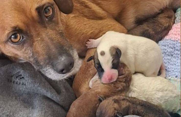 Una vita da incubo e poi la salvezza poco prima dell'oblio