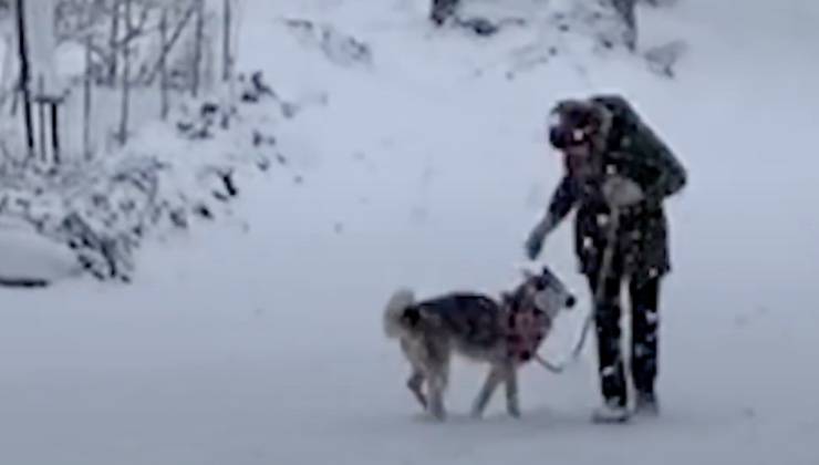 Uomo e Siberian Husky sulla neve 