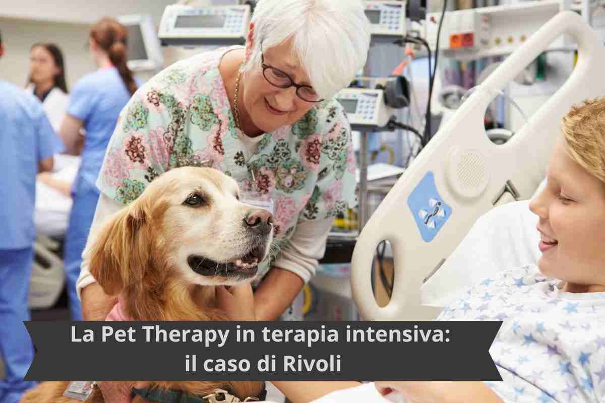 Cane in ospedale