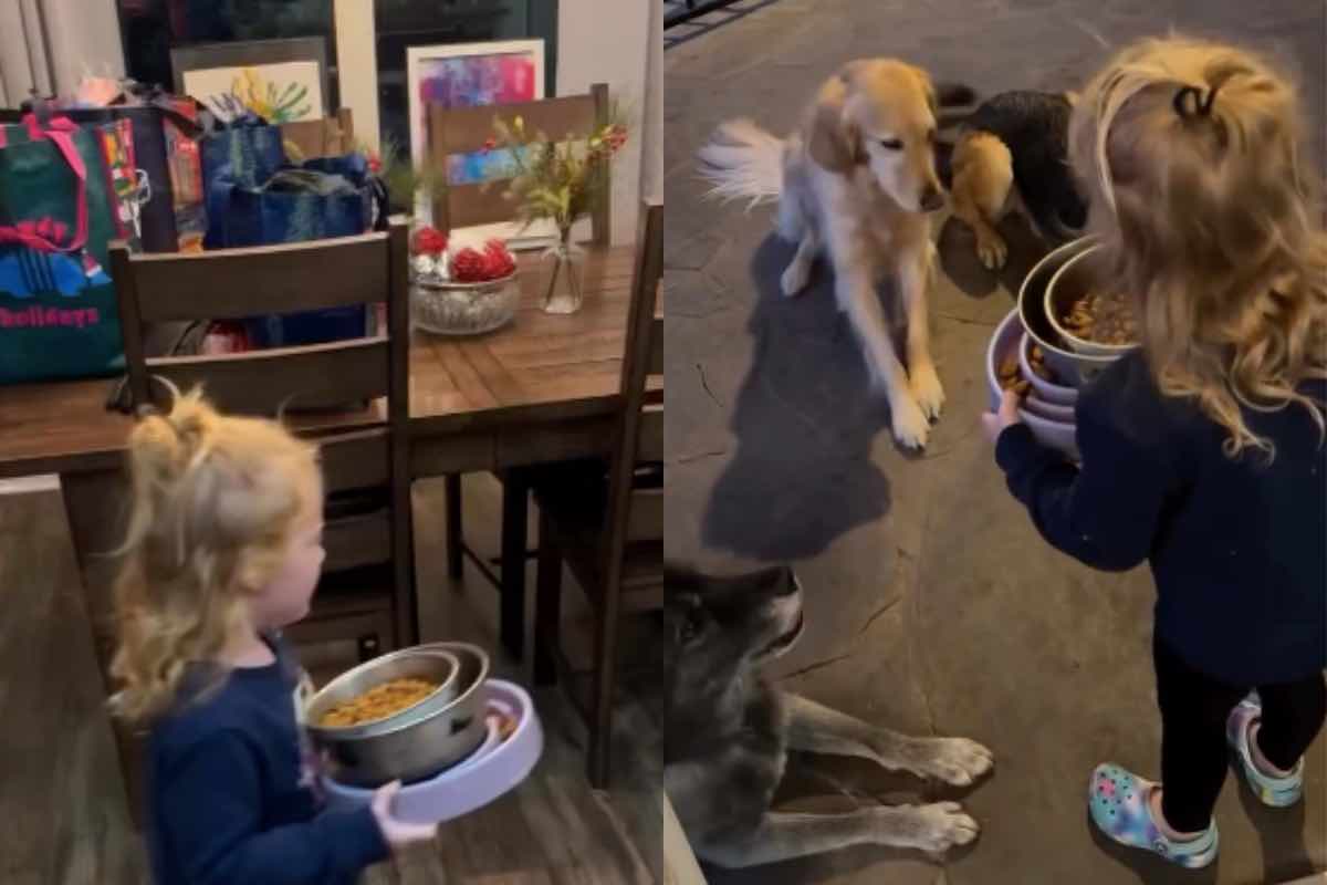 La bimba porta da mangiare ai tre cani fuori dalla porta