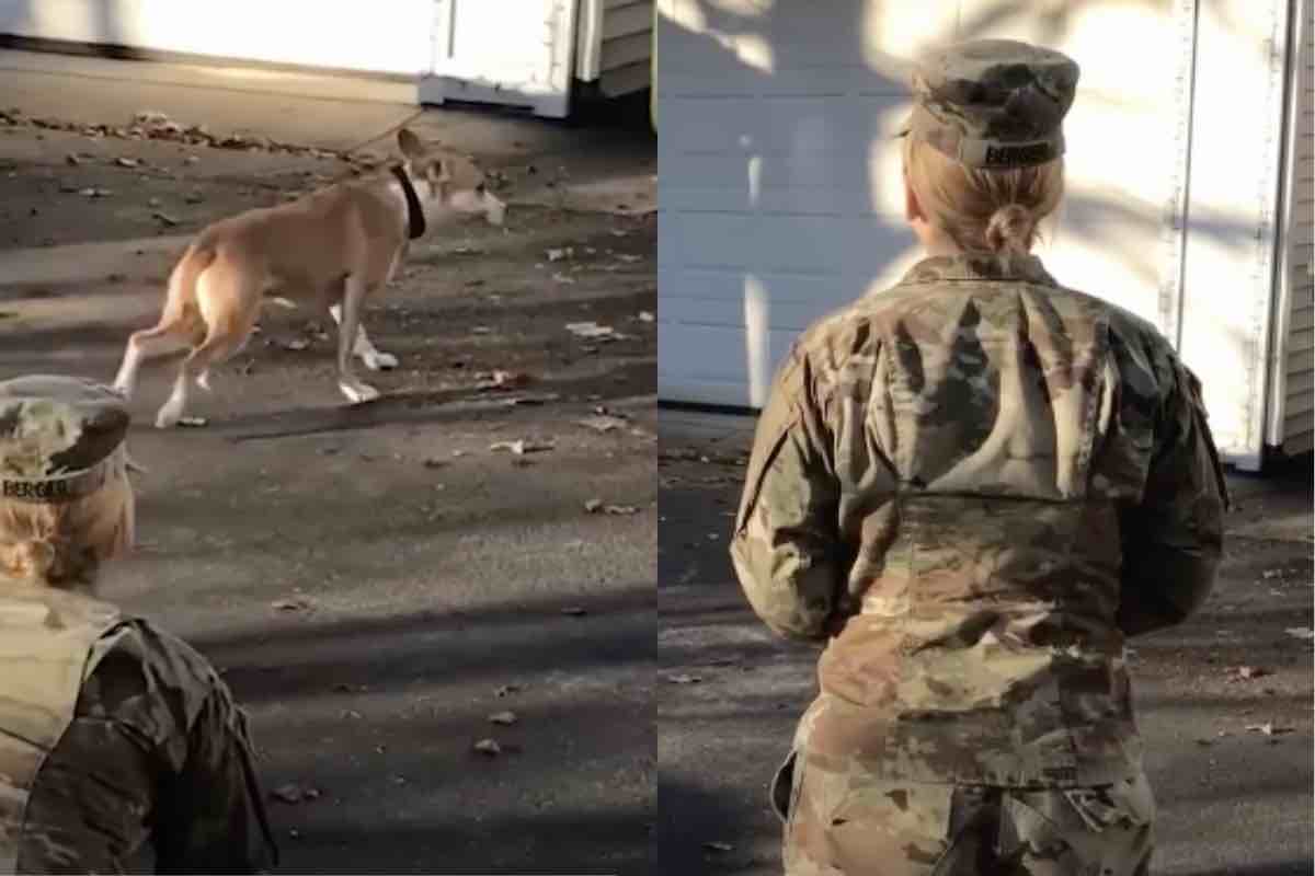 Donna in uniforme vede il suo cane che si allontana