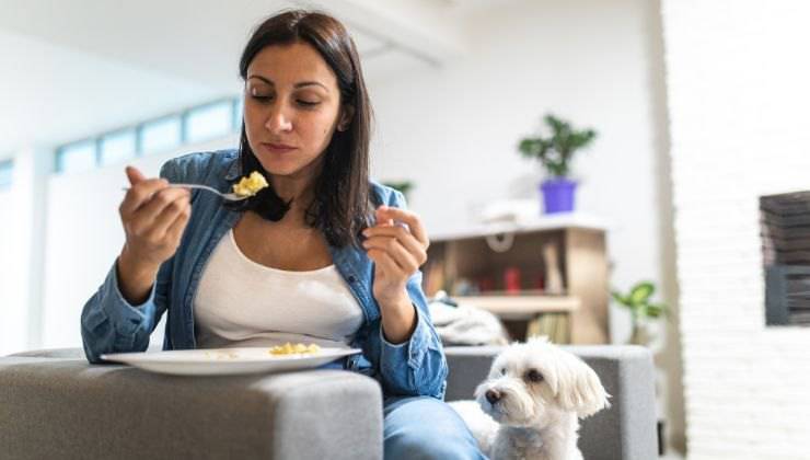 Cane guarda la padrona che mangia