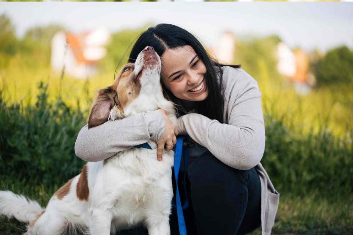 Il sesto senso dei cani è straordinario