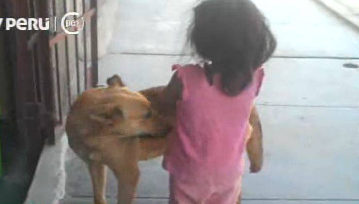 bimba riceve aiuto dal cane randagio