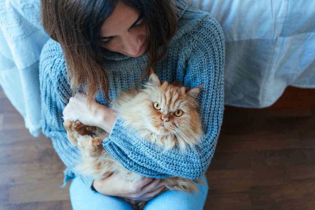 donna con gatto in braccio