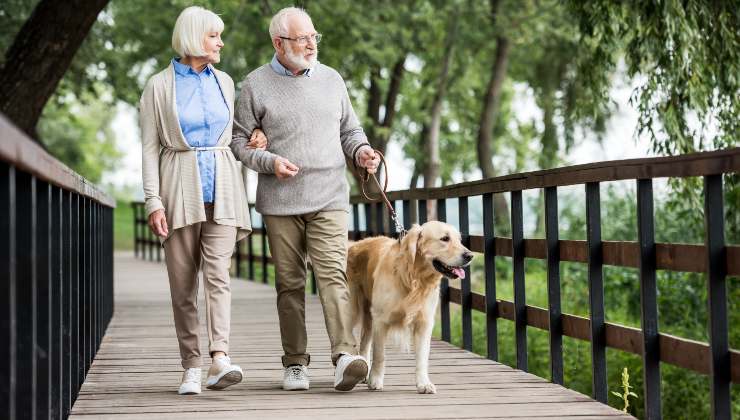 Due anziani che possono usufruire del bonus per animali domestici 2024 camminano con il loro cane all'aperto 