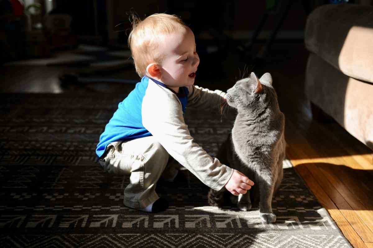 dormire con un gatto fa bene alla salute dei bambini