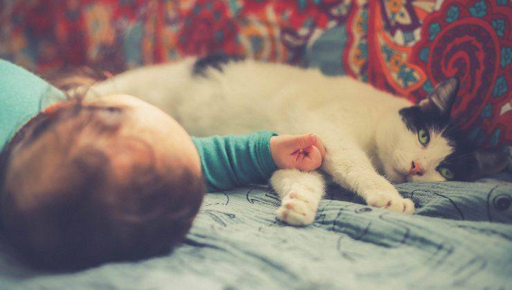 dormire con un gatto fa bene alla salute dei bambini