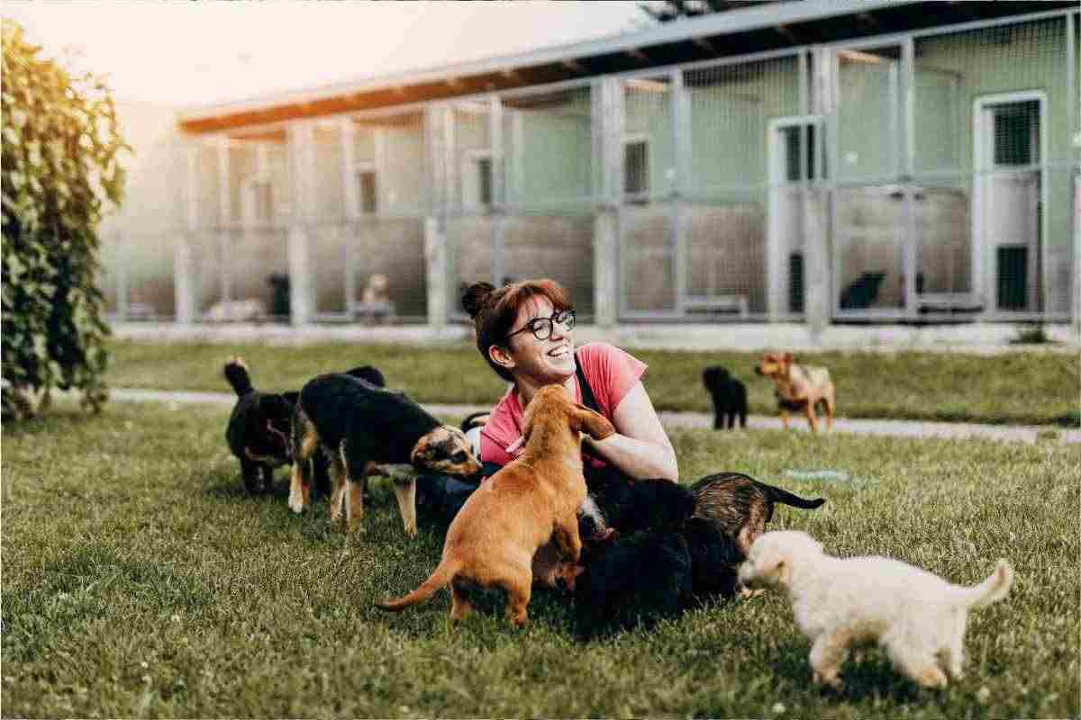 Conoscevate la Sindrome di Noè