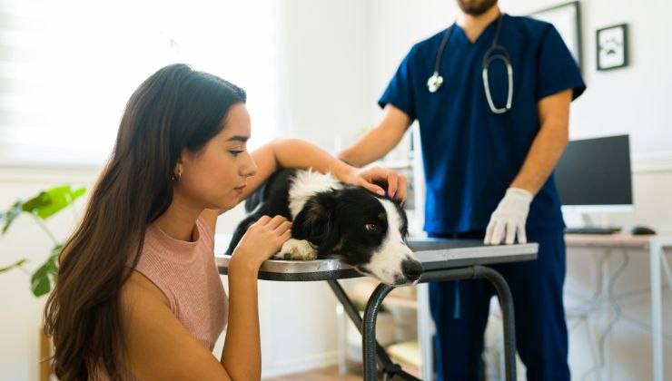 Padrona e cane dal veterinario