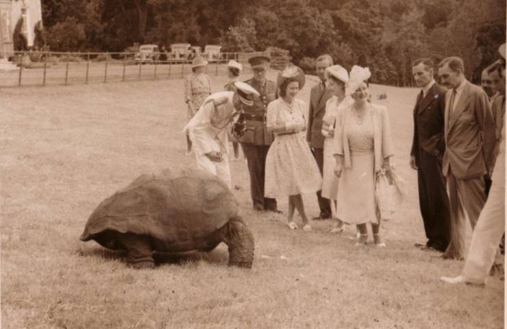 La regina Elisabetta II con la tartaruga jonathan