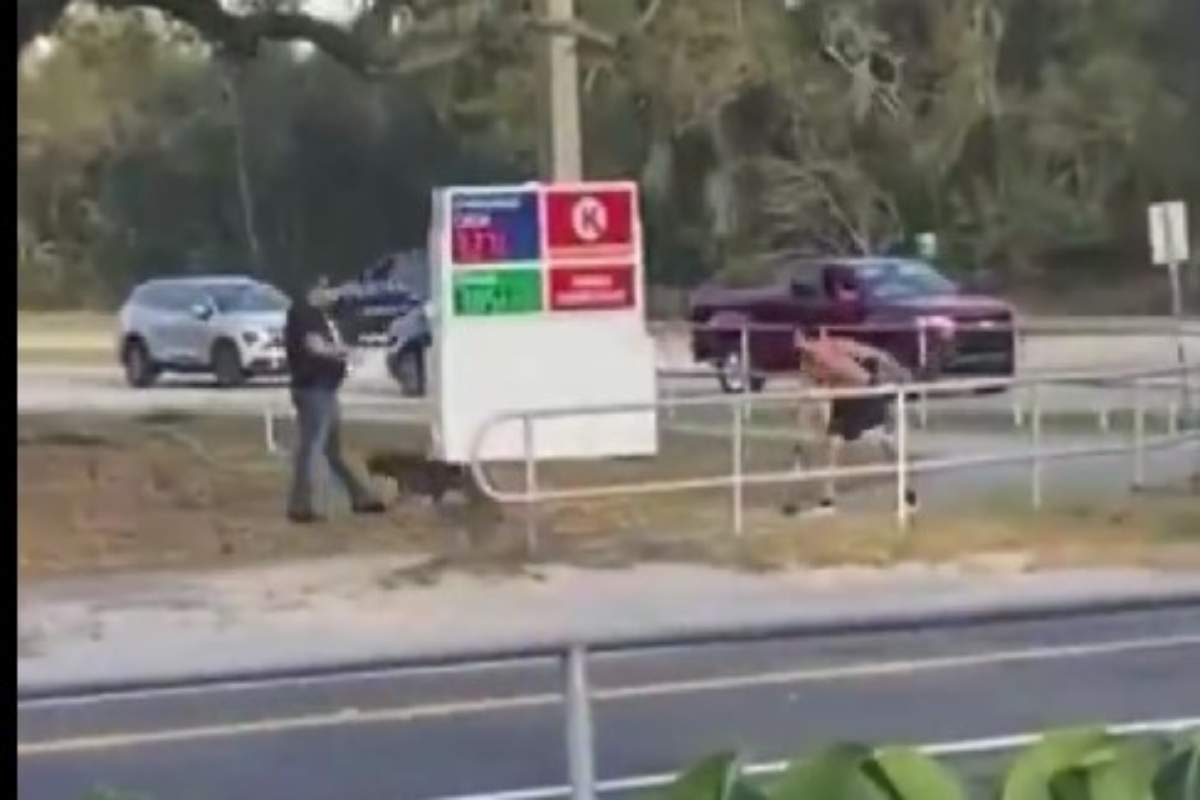 Picchia il cane con una catena