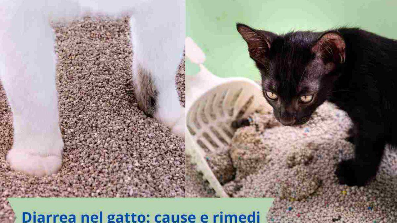 diarrea scura e liquida COME FARE A CAPIRE SE HO LA DIARREA? GUARDA LA TUA #CACCA. . E usa la SCALA  DI #BRISTOL per valutarla. . Questa è la scala di Bristol. Ci dice come  facciamo main image 1