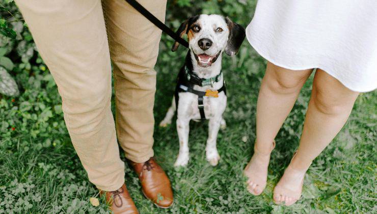 Uomo e donna con cane felice per essere stato affidato a loro