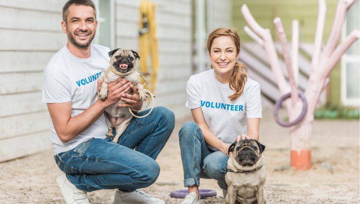 Cani nel rifugio con due volontari