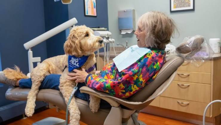 cane rassicura la paziente