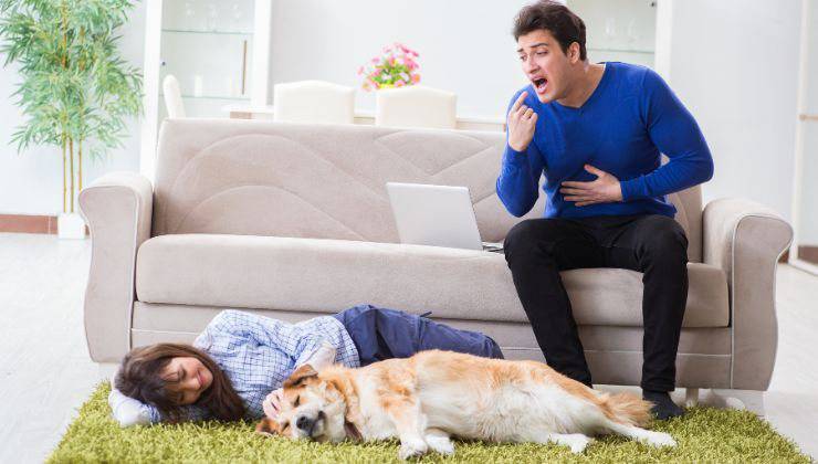 Cane sul tappeto coi padroni