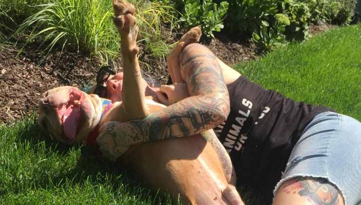 cane che gioca nel prato