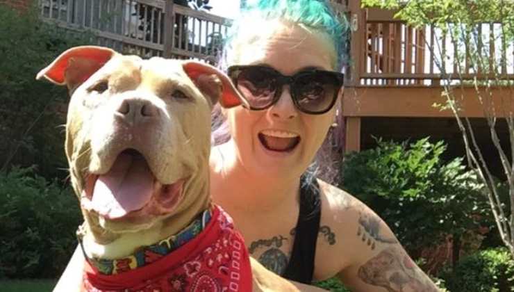 cane felice adottato