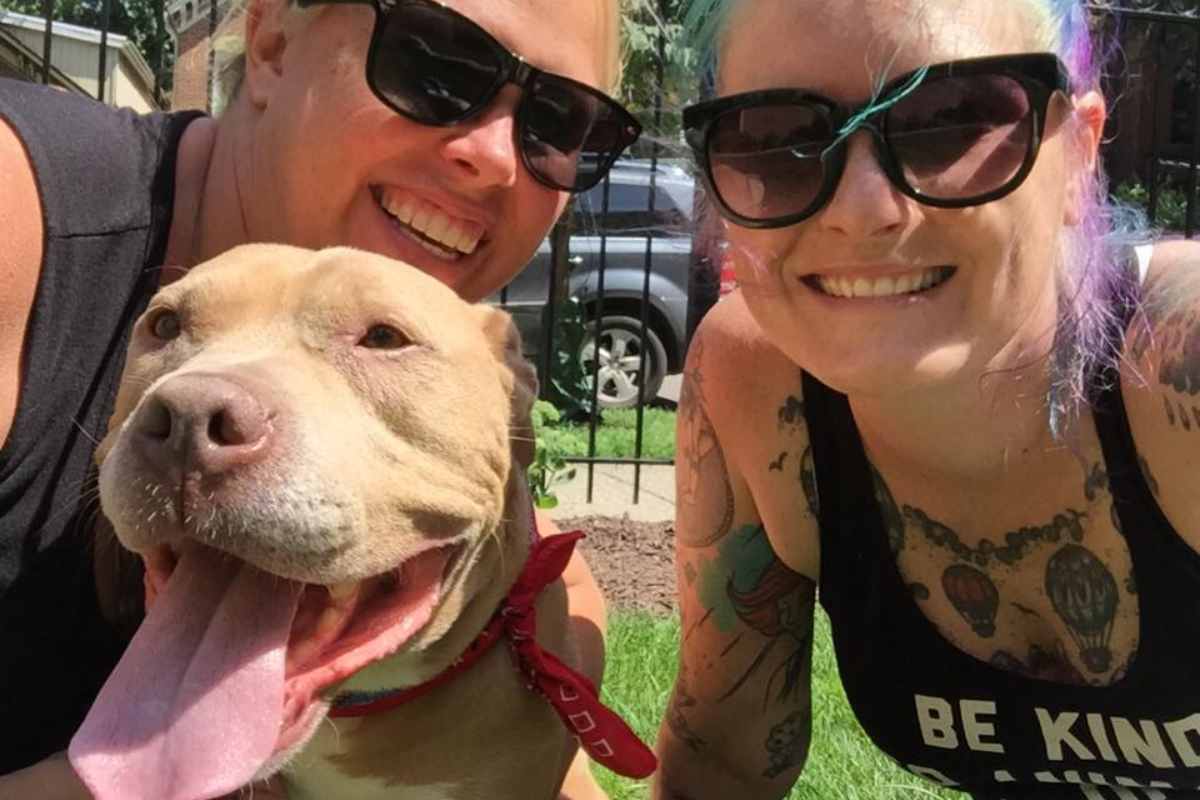 cane adottato terminale