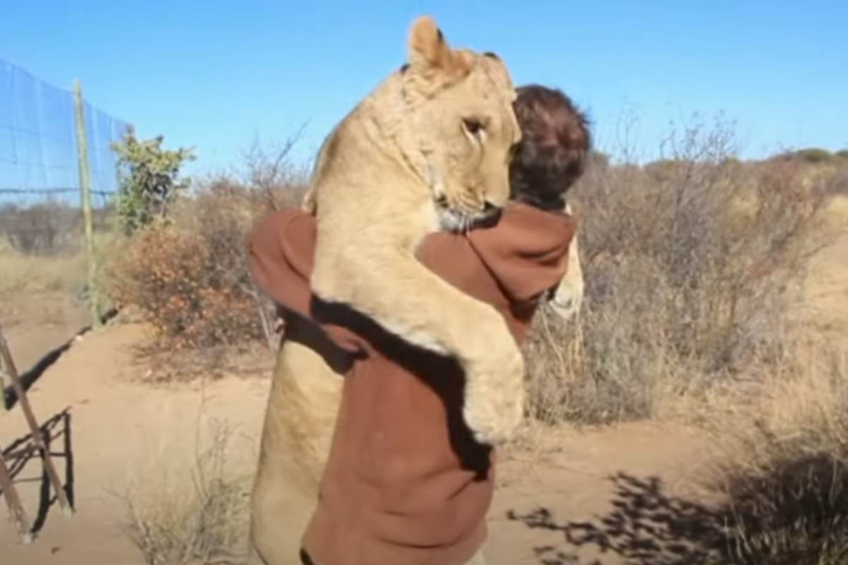 leone e uomo si abbracciano
