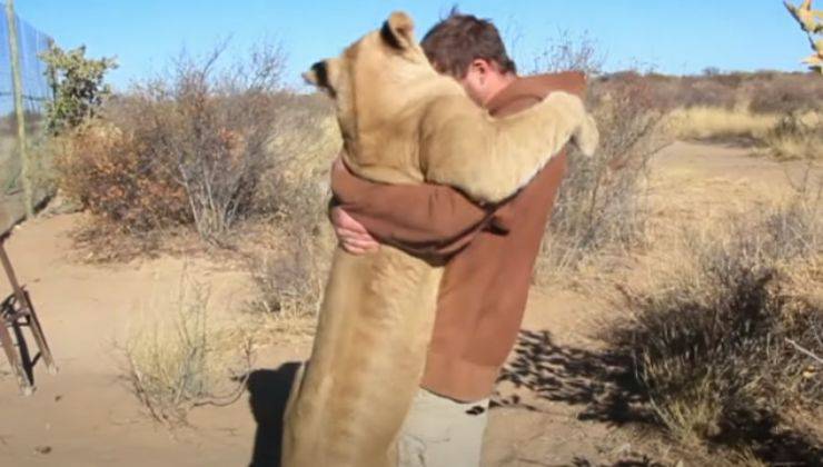 leone abbraccia uomo