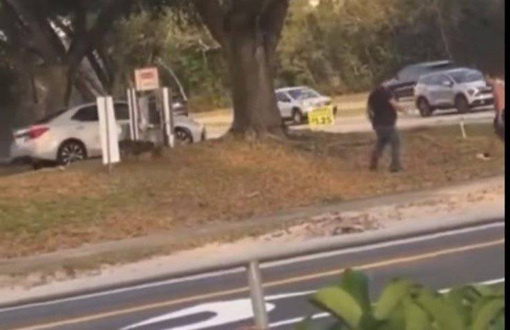 Picchia il cane con una catena