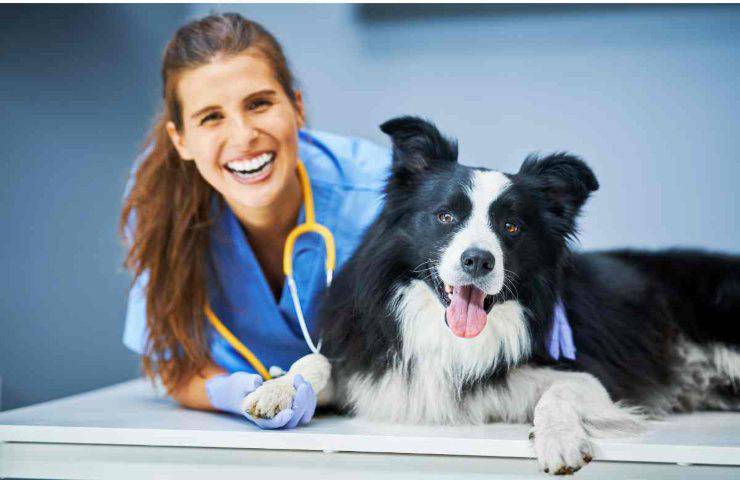 Spese veterinarie coperte dallo stato