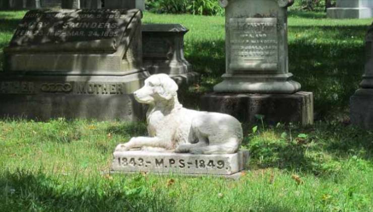 lapide funeraria di un cane