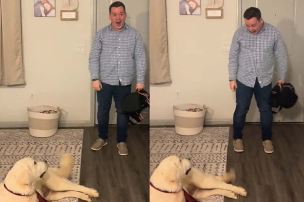 Uomo sorpreso nel vedere il cane che la moglie gli ha regalato