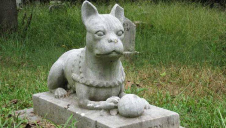 tomba di un animale domestico