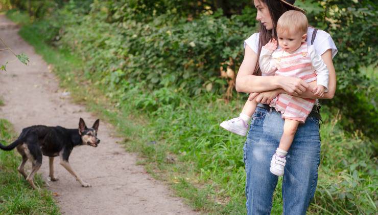 Cane fiuta la paura della donna con la bimba in braccio