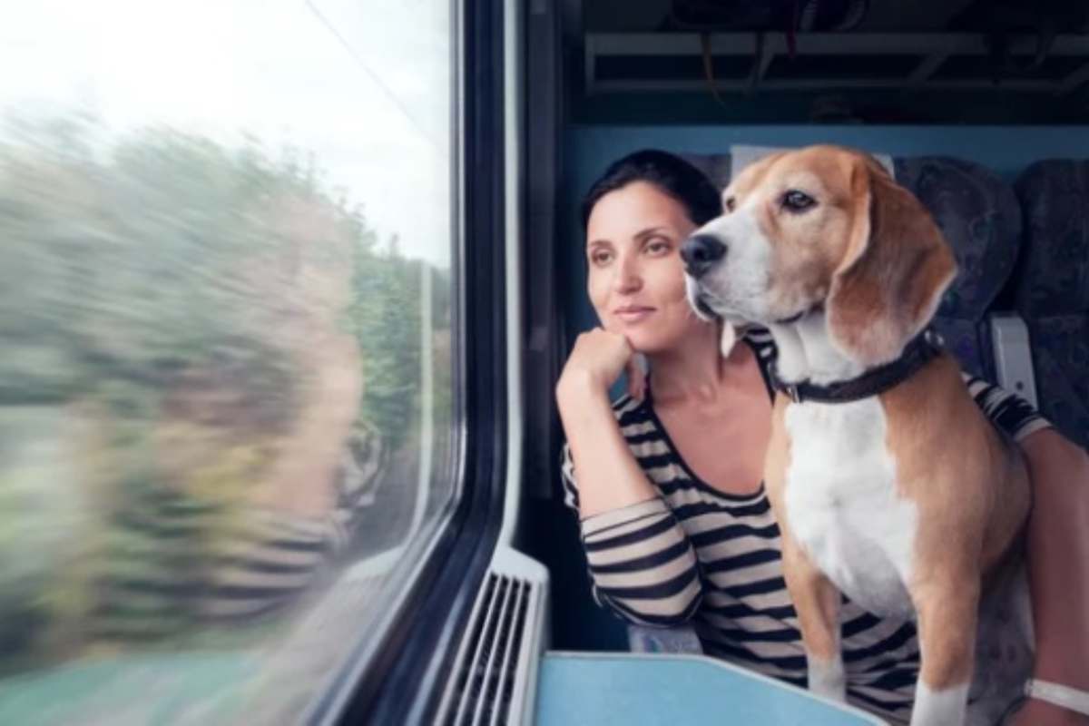 Cane in treno
