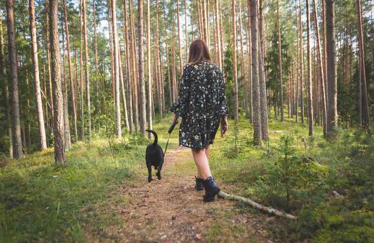 Cane nero di spalle cammina tra gli alberi assieme a una ragazza 
