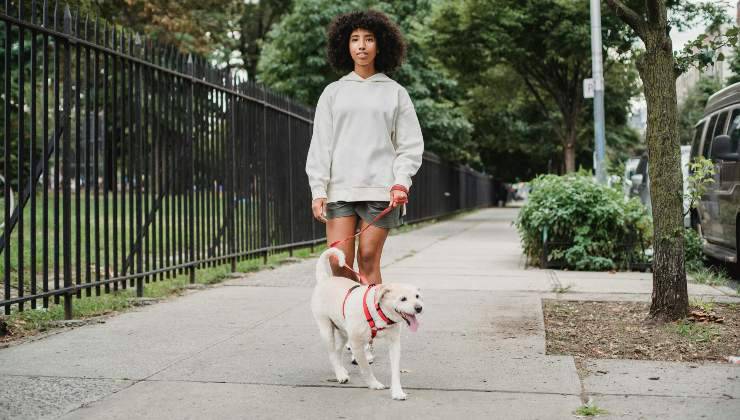 Donna riccia passeggia per strada con il suo cane per alleviare lo stress e l'ansia