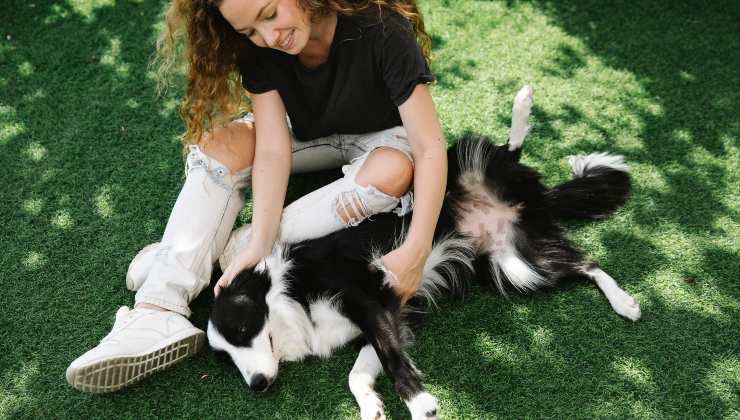 Donna coccola il suo cane bianco e nero in giardino per calmarlo dal calore
