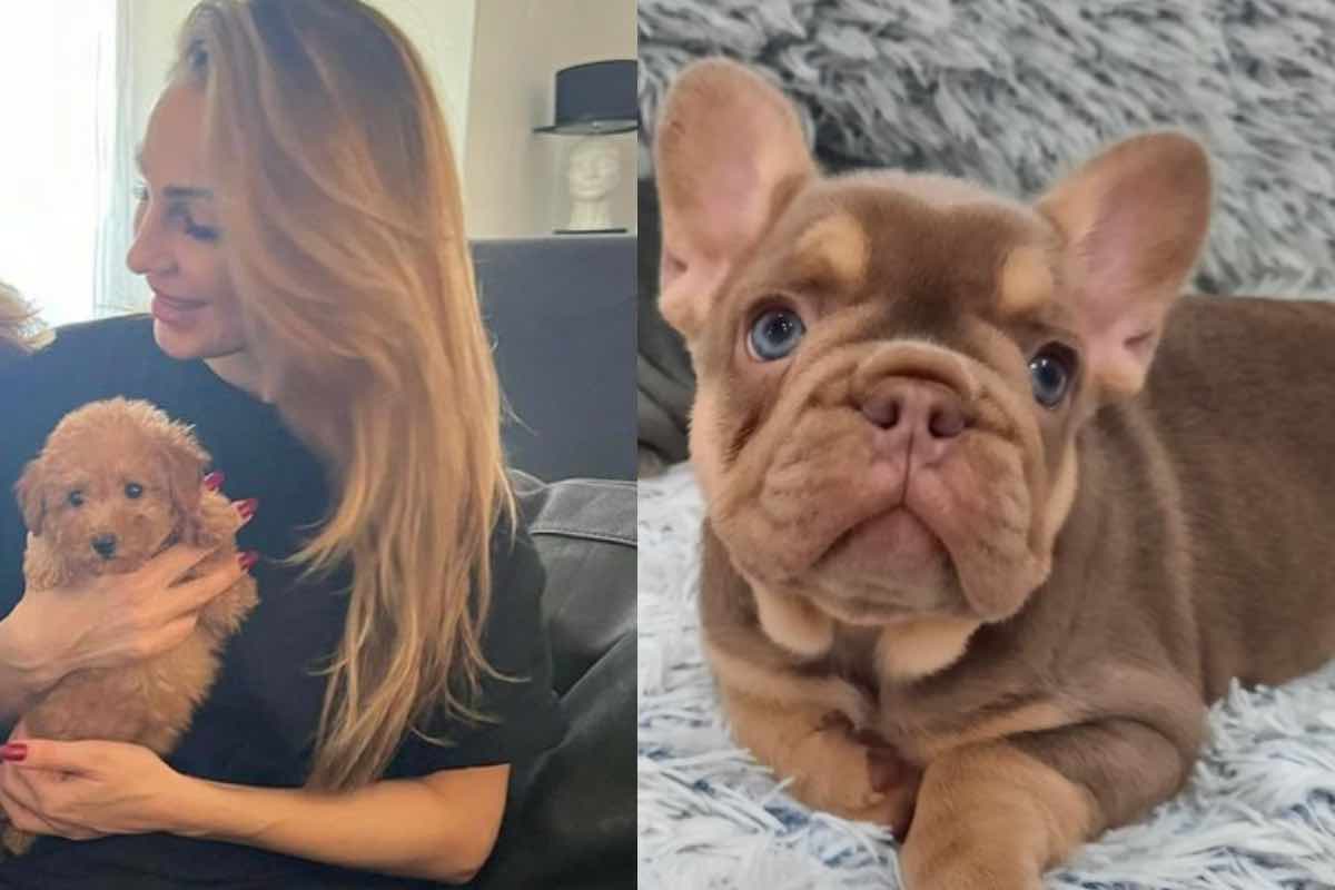 Anna Tatangelo con cucciolo di cane tra le braccia