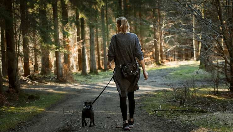Donna passeggia con il cane 