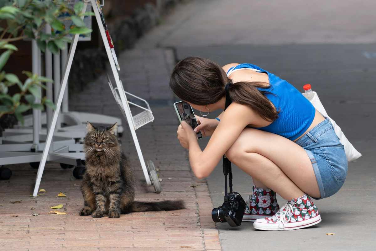 Fotografare un gatto