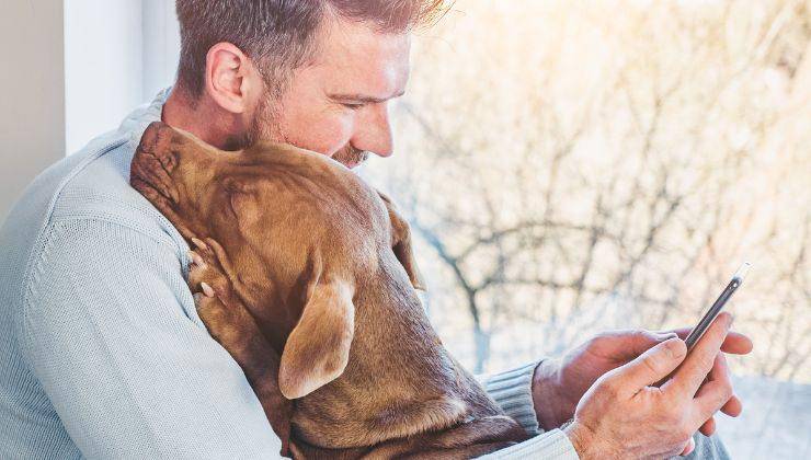 Cane si infastidisce se il padrone è al telefono