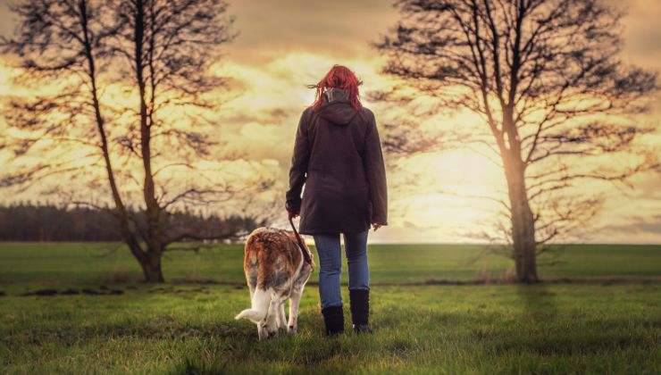 Passeggiata cane e padrone