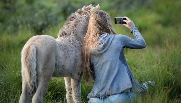 selfie con asino