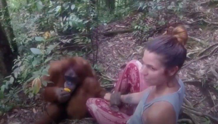 Orango sottrae un frutto esotico alla donna per mangiarlo