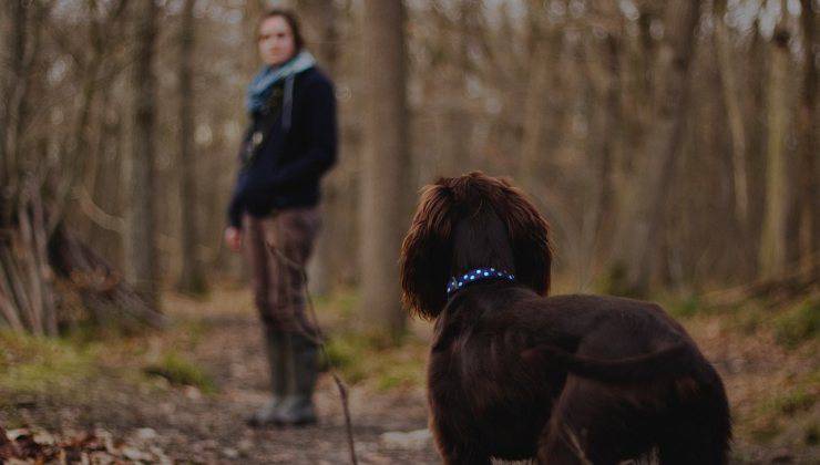 Persona aspetta il suo cane 