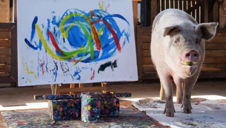 Il maiale Pigcasso accanto a un suo quadro 