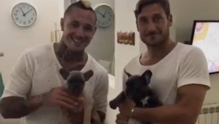 Francesco Totti e Nainggolan con cuccioli di cane